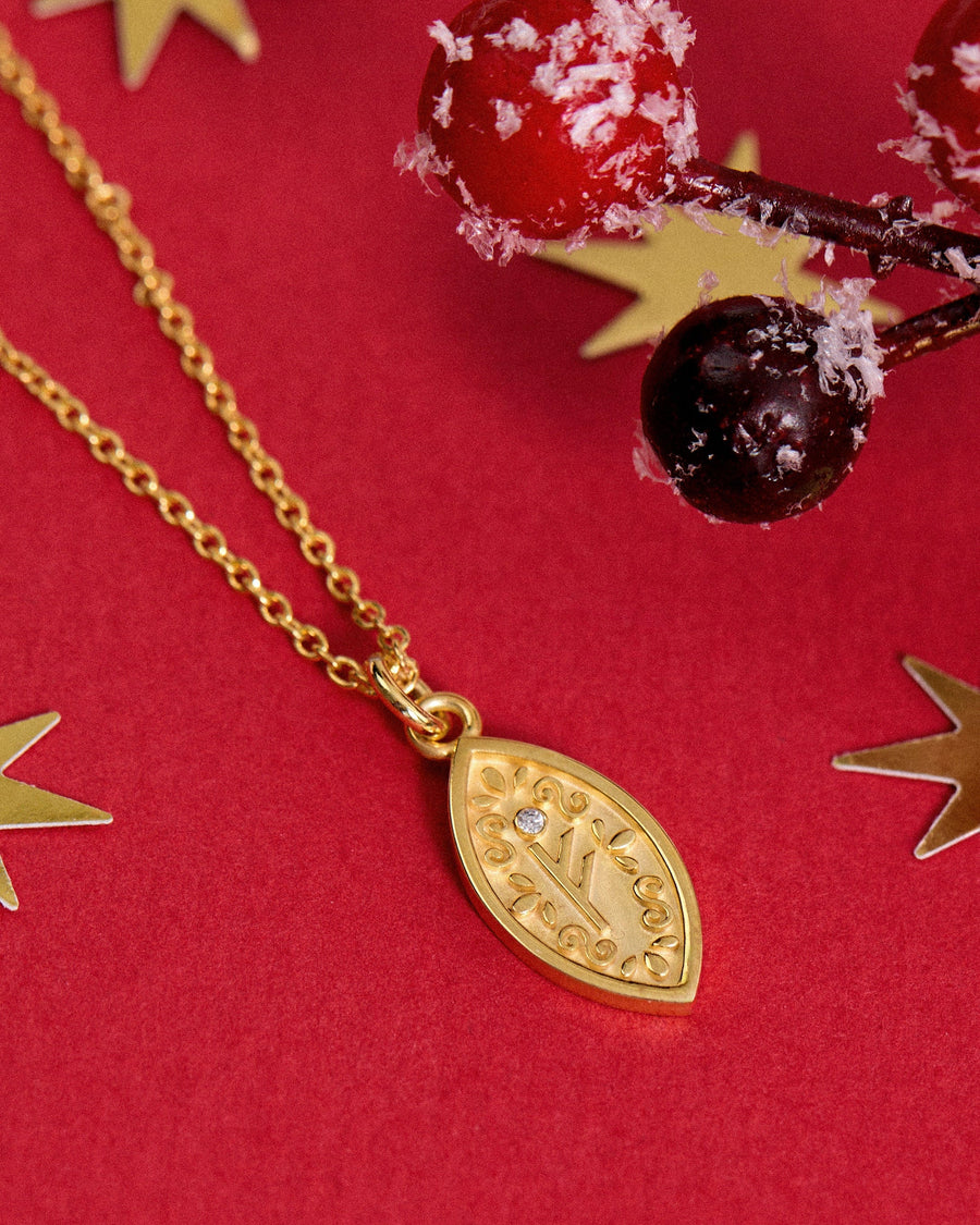 FEHU BEREKET/ZENGİNLİK SEMBOLÜ GÜMÜŞ KOLYE