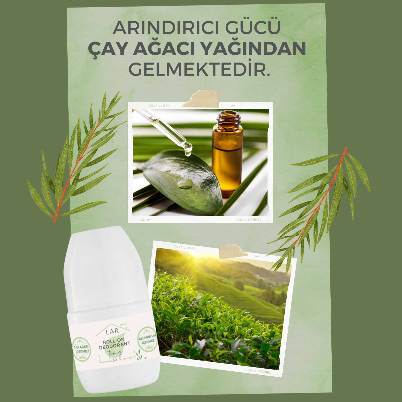 Yakınlaş