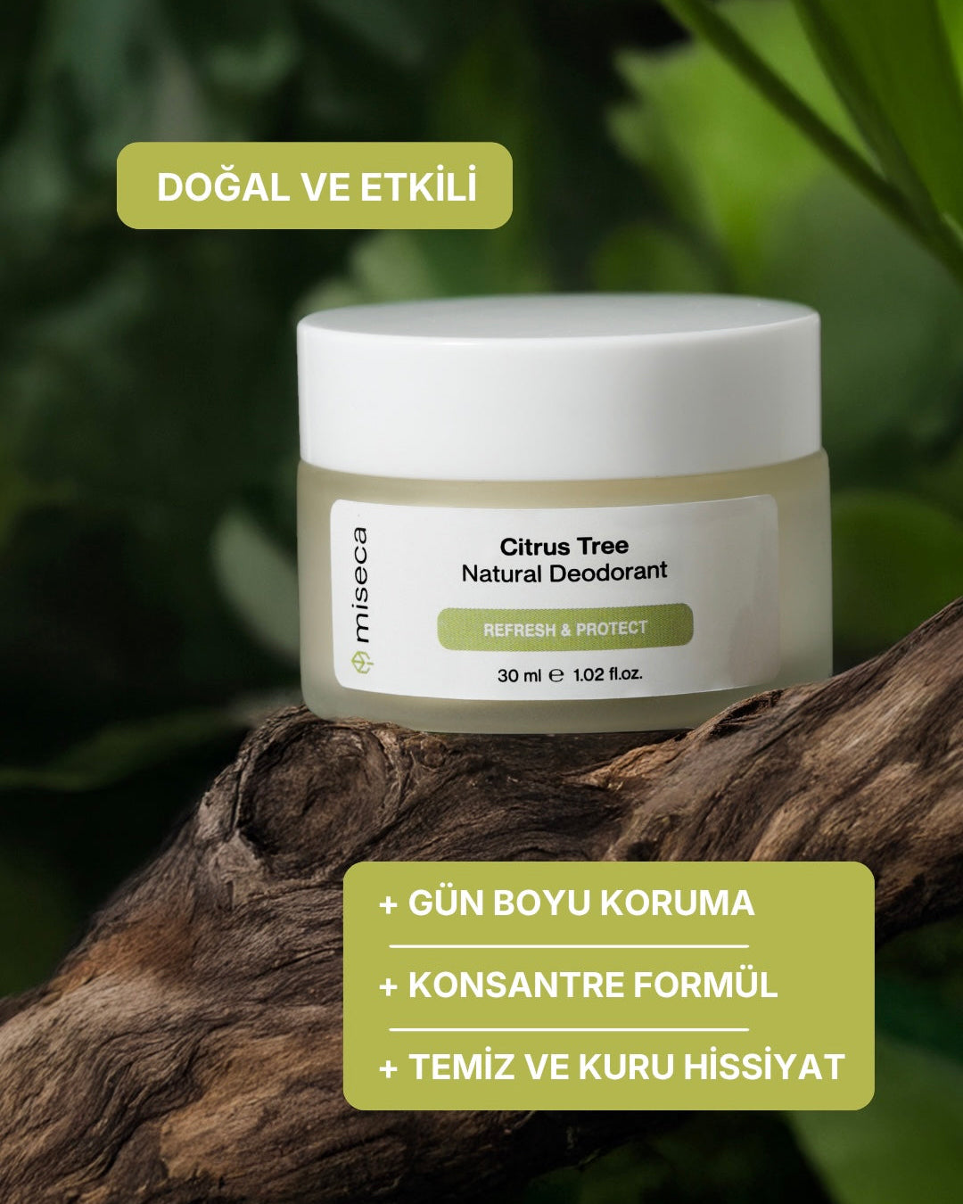 Yakınlaş