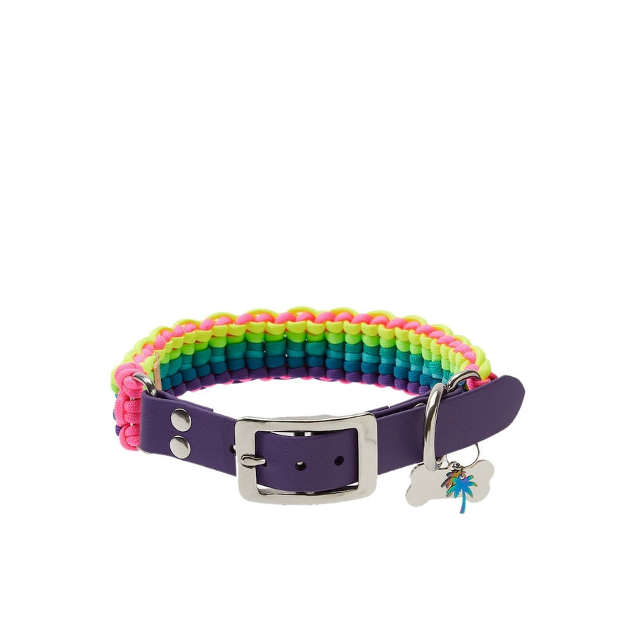 Rainbow Paracord Köpek Boyun Tasması (Large, XLarge)