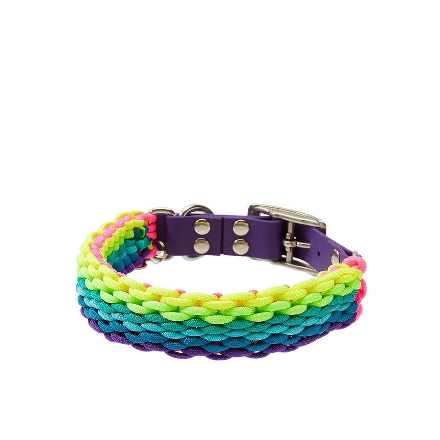 Rainbow Paracord Köpek Boyun Tasması (Large, XLarge)