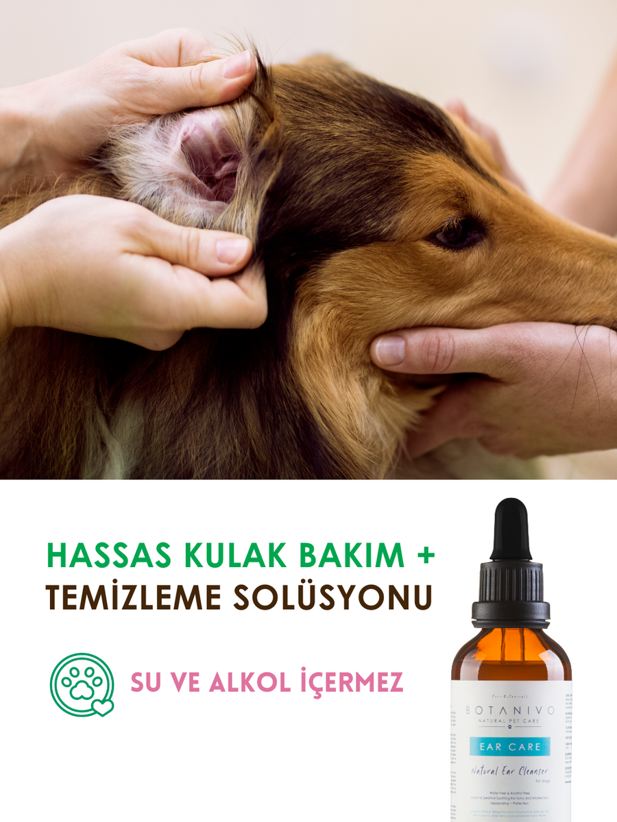 Botanivo Köpekler İçin Kulak Temizleme Solüsyonu | Hassas Bakım + Koku ve Kaşıntı Önleyici