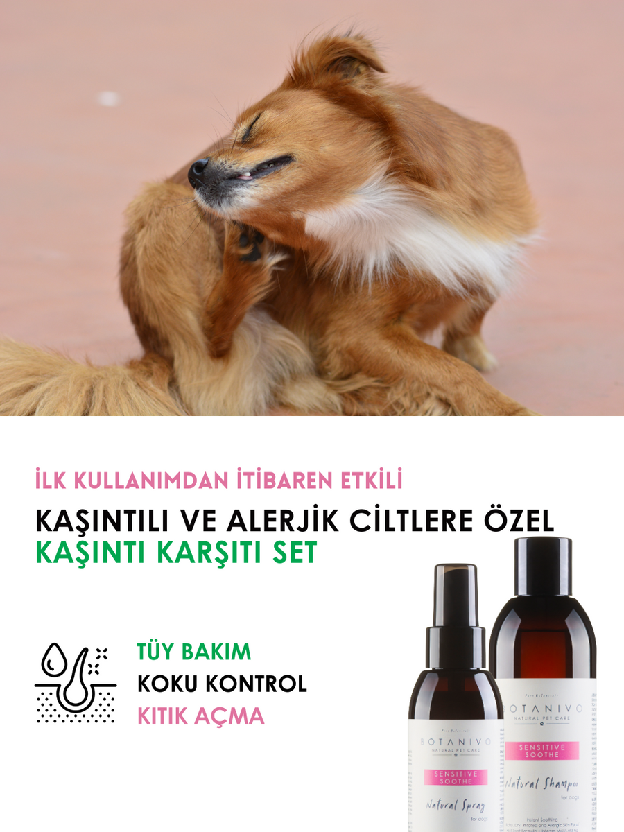 Botanivo Köpekler İçin Kaşıntı Karşıtı Şampuan ve Sprey Seti