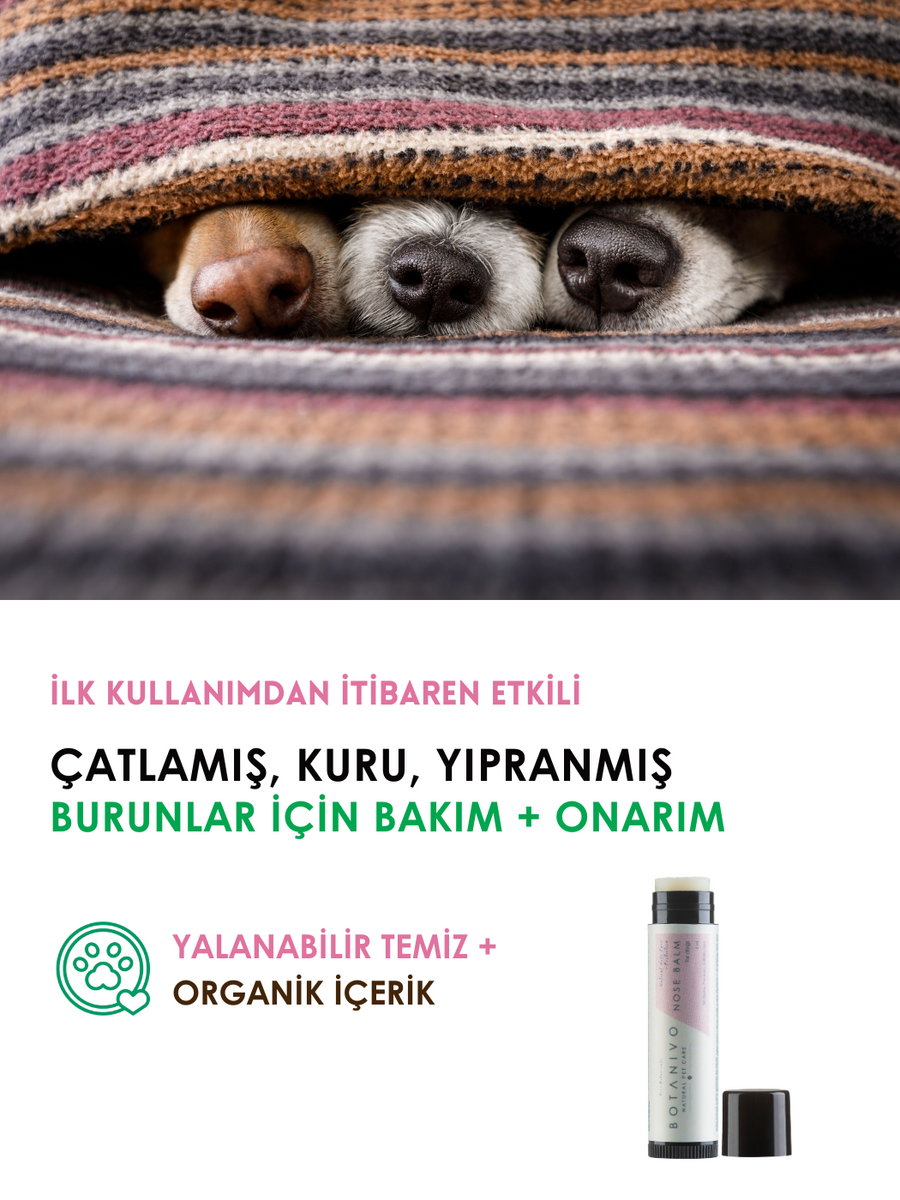 Botanivo Köpekler İçin Burun Bakım + Onarım + Koruma Balmı