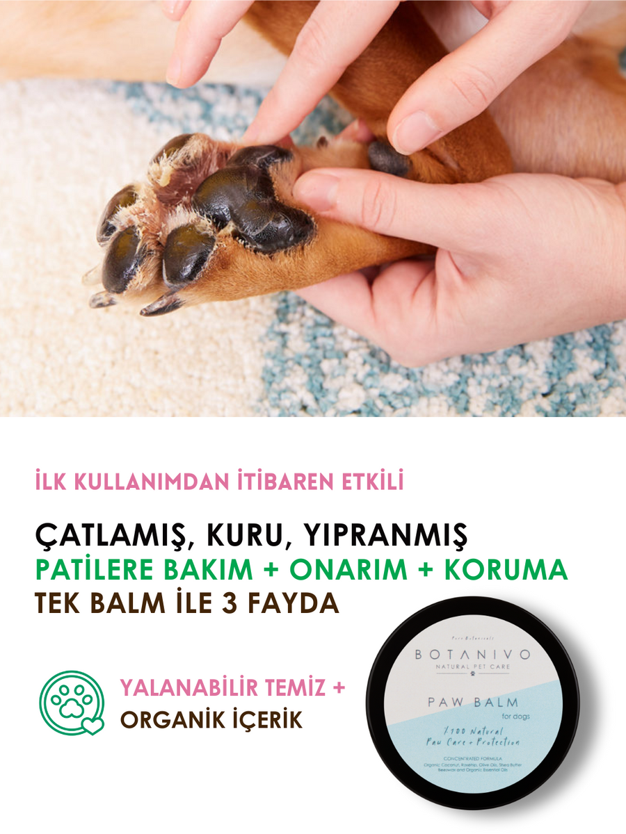 Botanivo Köpekler İçin Pati Bakım + Onarım + Koruma Balmı