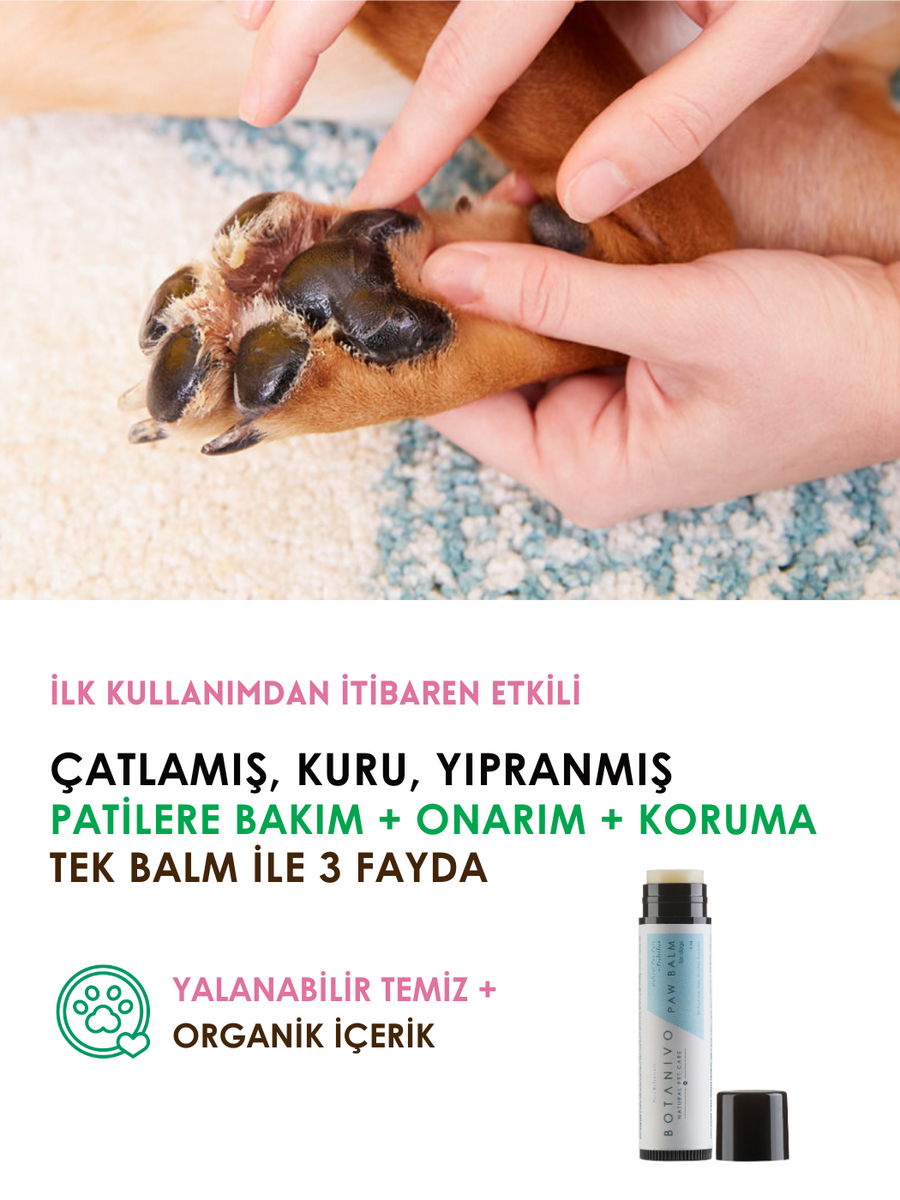 Botanivo Köpekler İçin Pati Bakım + Onarım + Koruma Balmı