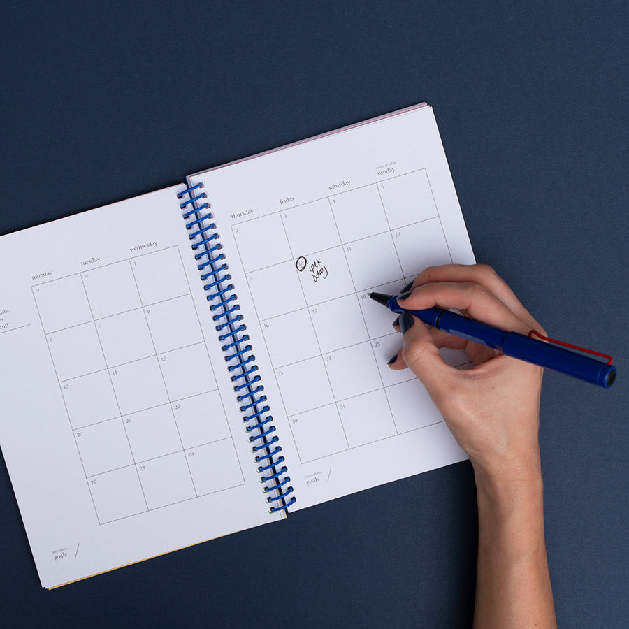 2026 Here We Go Again - Mavi