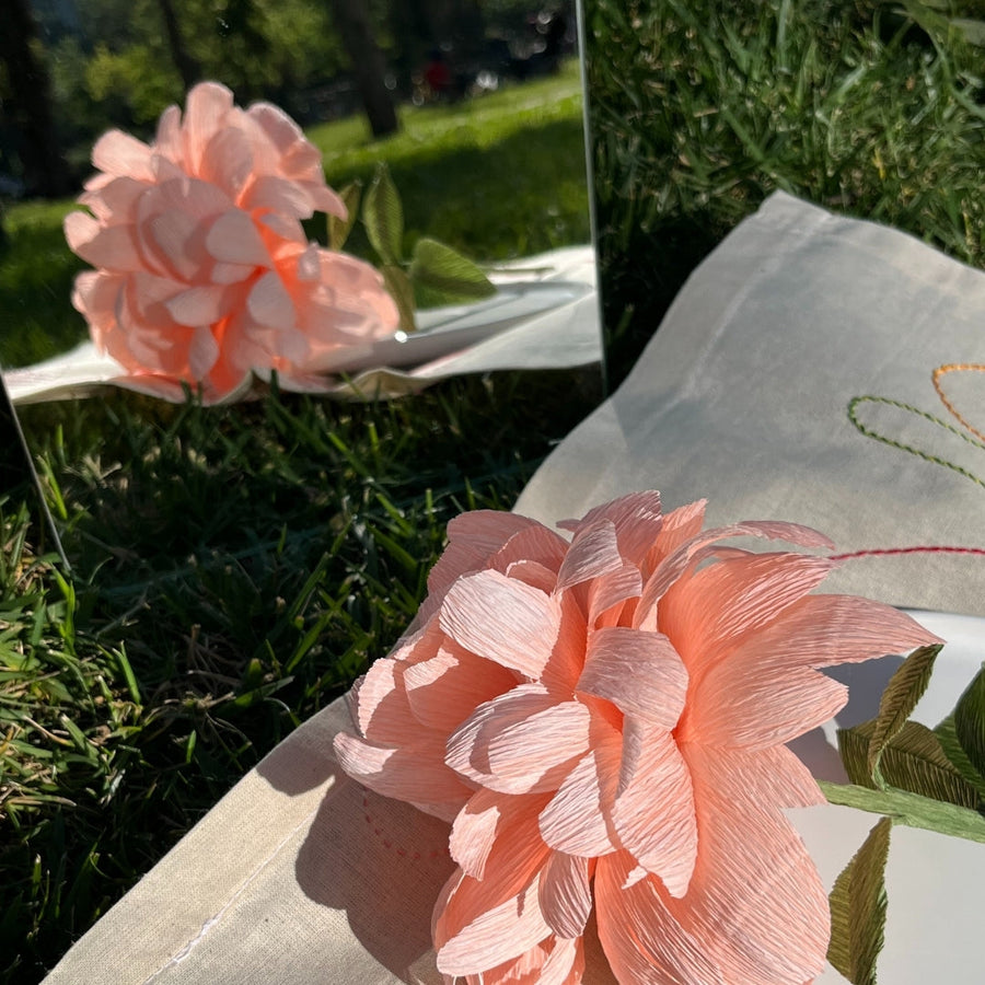 Paper Blooms!