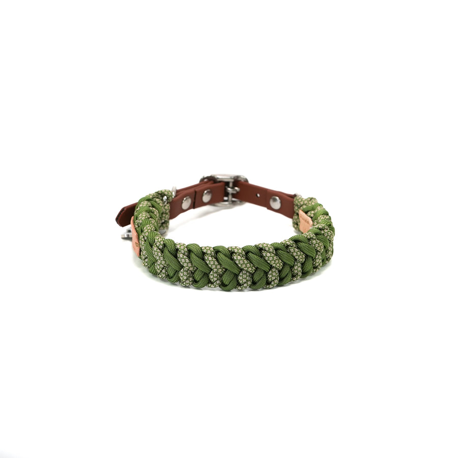 Arbor Paracord Köpek Tasması-SMALL