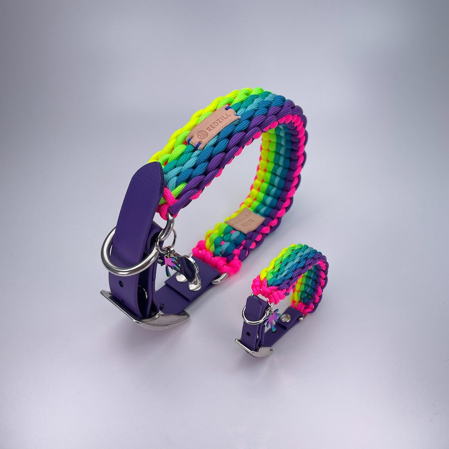 RAINBOW KÖPEK TASMASI VE BİLEKLİK SET