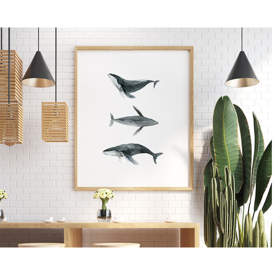 Whale Poses - Artprint