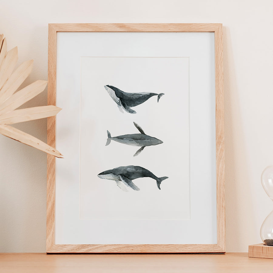 Whale Poses - Artprint