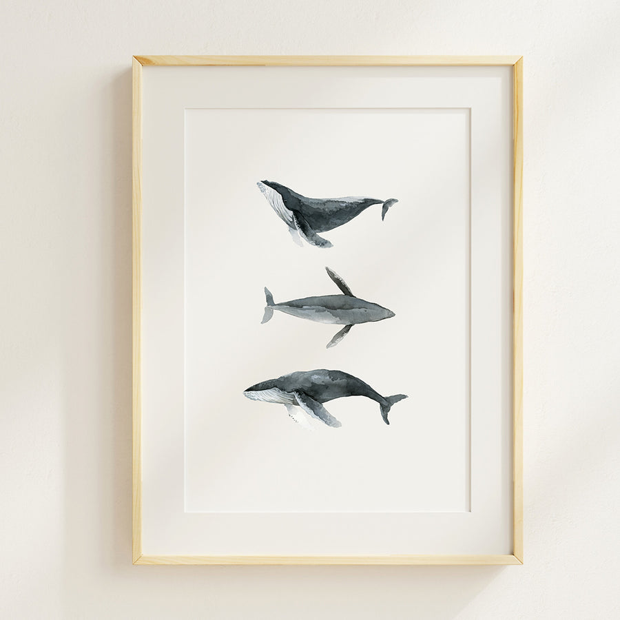 Whale Poses - Artprint