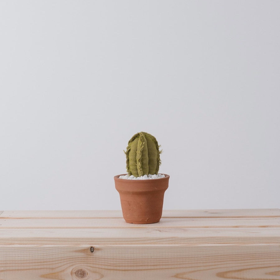 Mini Column Cactus Mini Column Cactus – Local Makers