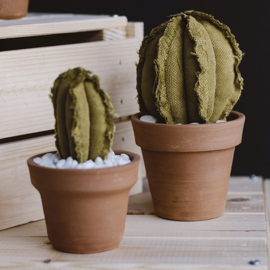 Mini Column Cactus Mini Column Cactus – Local Makers