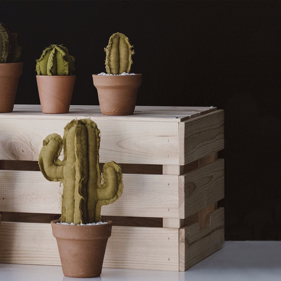Mini Column Cactus Mini Column Cactus – Local Makers