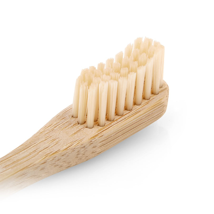 Yetişkin Bambu Diş Fırçası