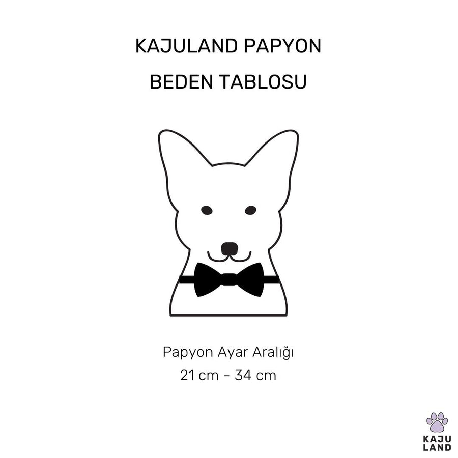 Tombi | Kareli Papyon
